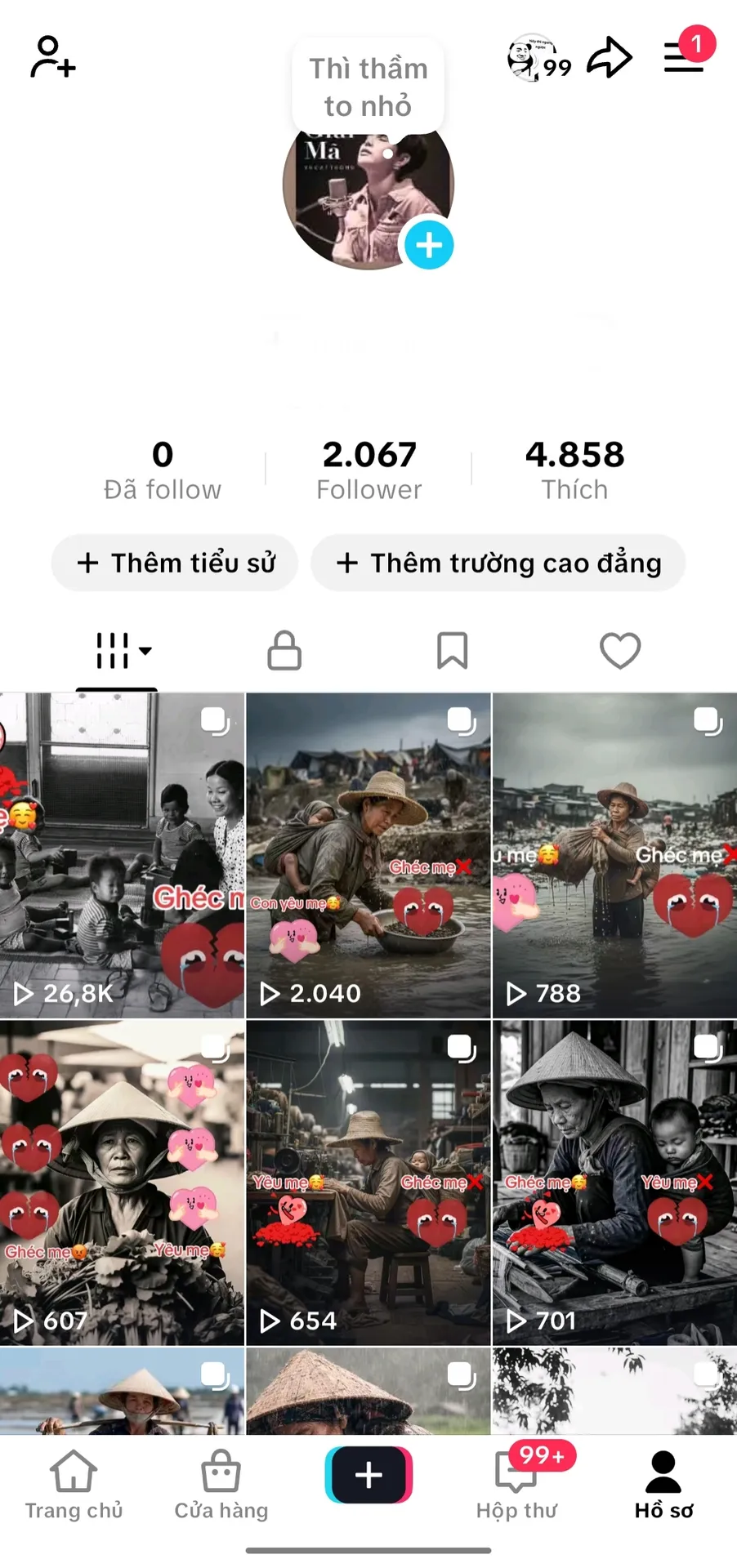 Us View Việt 1