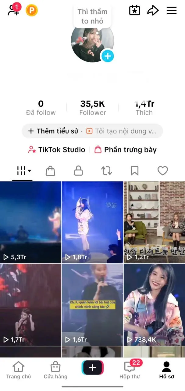 Chủ Đề Idol 1
