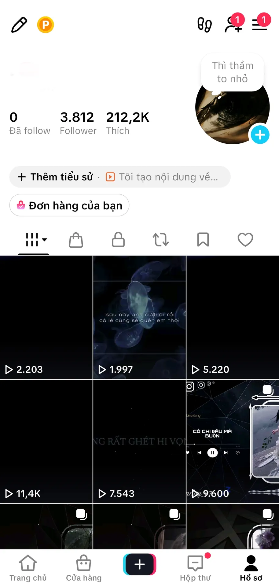 Chủ Đề Âm Nhạc 1