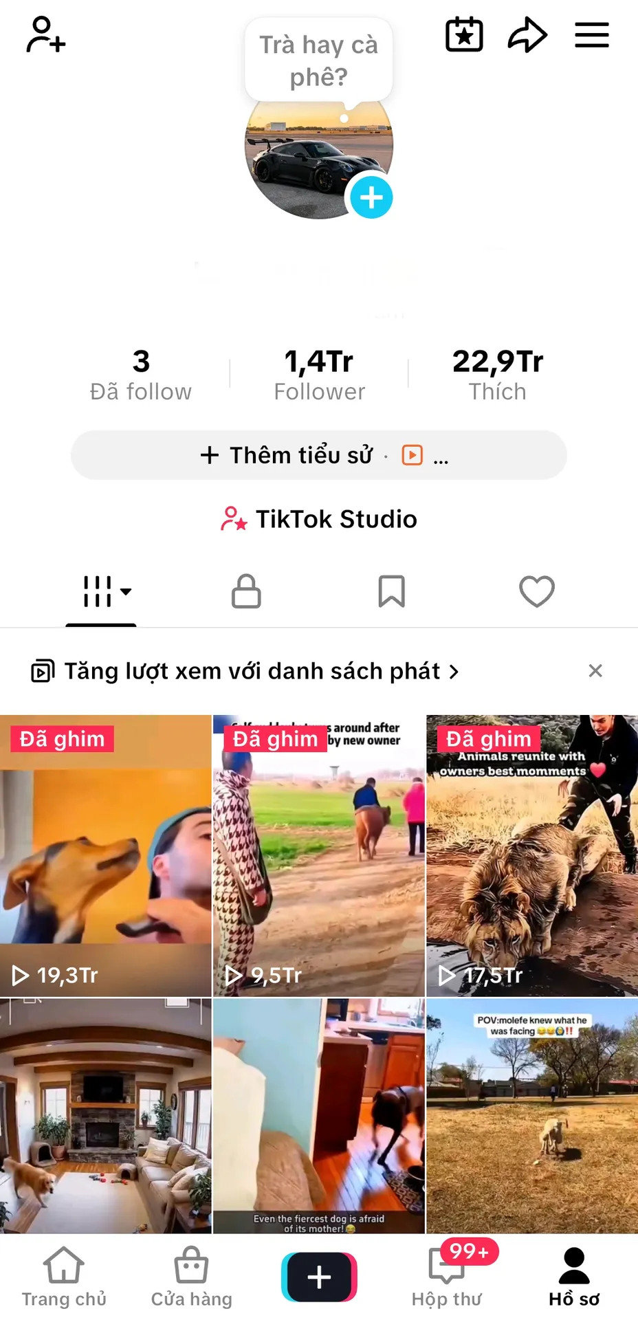 Us Động Vật, Xây Thương Hiệu 1