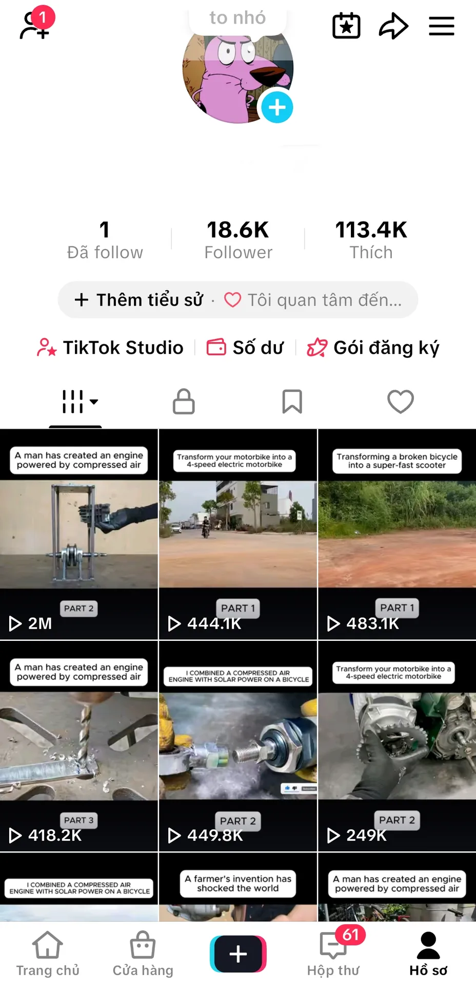 Kênh Ngoại 1
