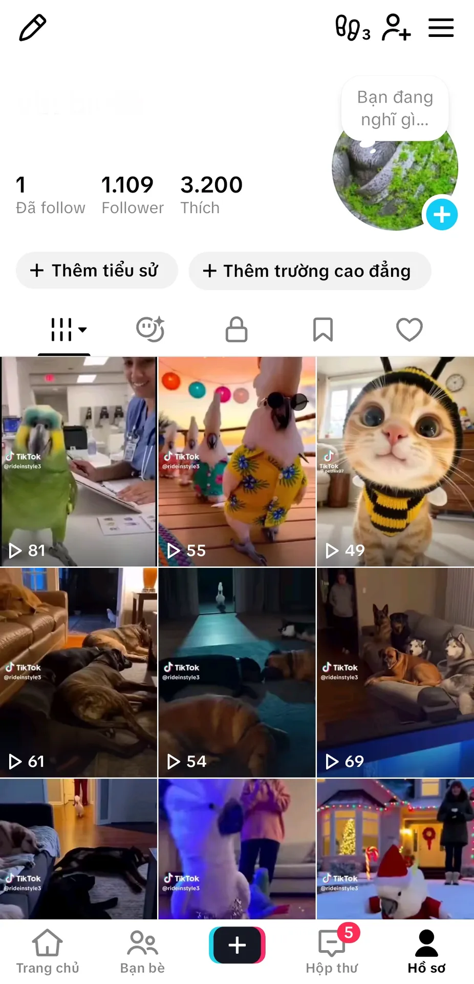 Kênh Nhỏ 1