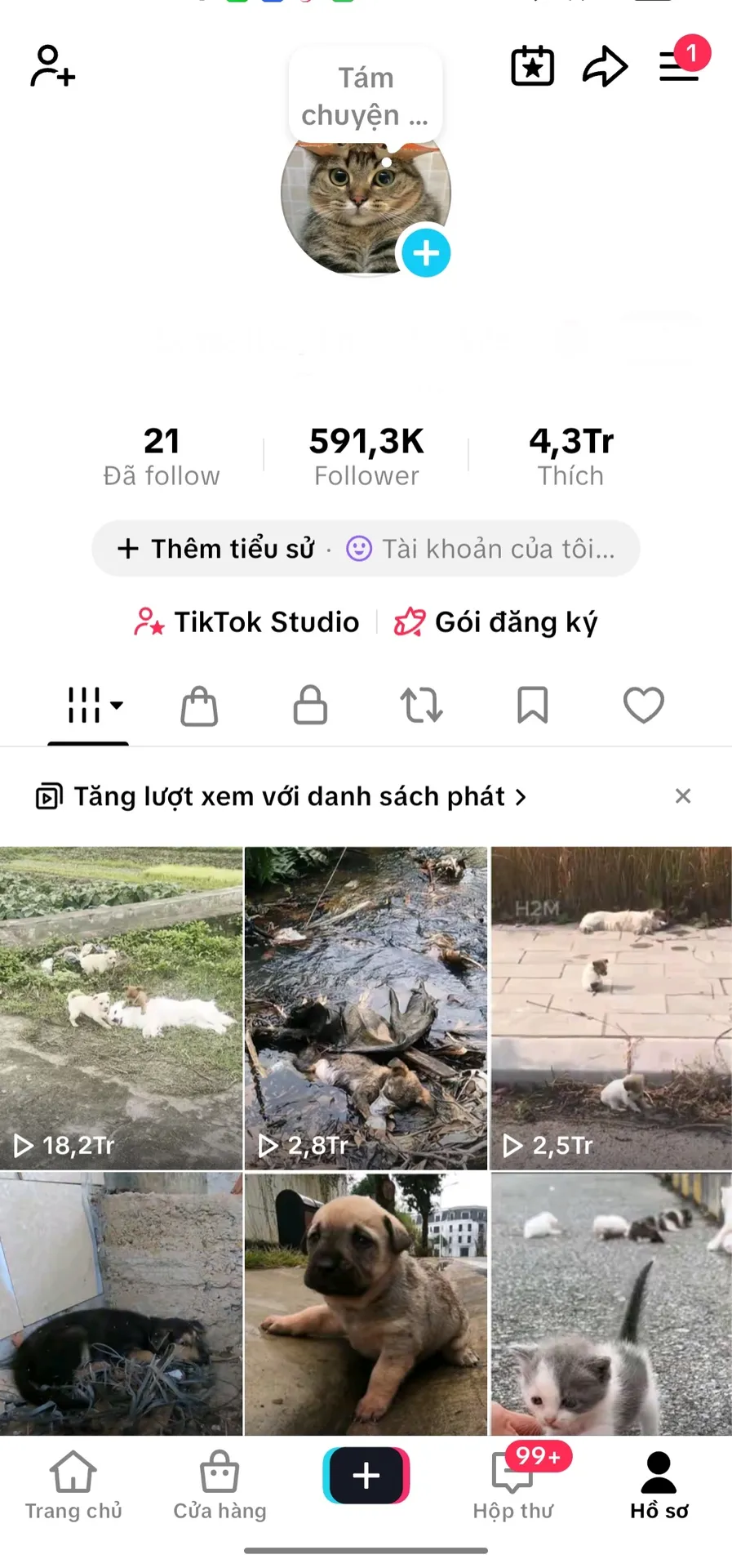 Chủ Đề Động Vật Kênh Us 1